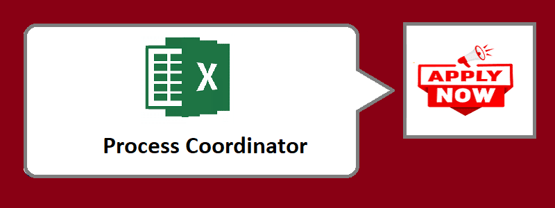You are currently viewing Profile- Process Coordinator