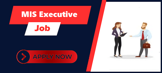 Advance Excel Job in Roorkee