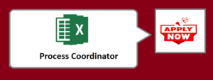 Read more about the article Profile- Process Coordinator